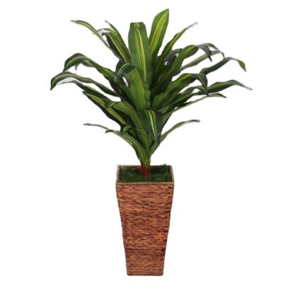 China Best Environment Friendly Selling Excellent Quality Lively Indoor Decorate Tall Artificial Banana Tree for sale