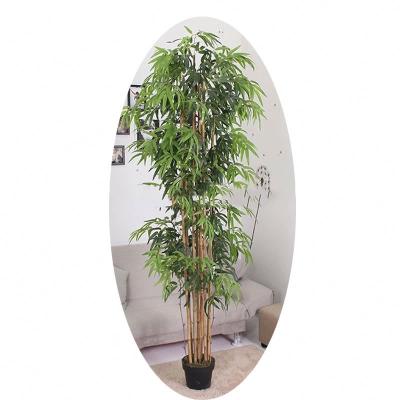 China Artistic Cheap Wholesale Hot Sale Indoor Artificial Bamboo Tree for sale