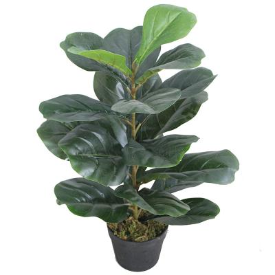 China Artificial Plastic Fiddle Leaf Fig Tree Small Ficus Lyrata Bonsai Tree Excellent Quality Environmental Friendly Tropical Plants For Table Home Decor for sale