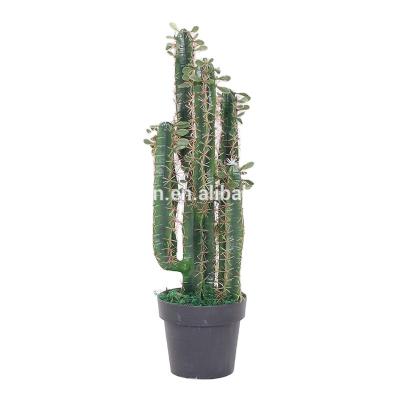 China Artistic Indoor Plastic Cactus Plants For Desert Decoration Artificial Trees Wholesale for sale