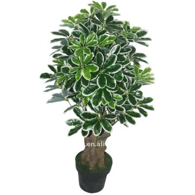 China Eco-friendly decoration schefflera octophylla night artificial plant for sale