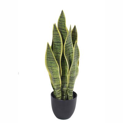 China Environmental Friendly Realistic Artificial Yellow Plant Snake Plant For Sale for sale