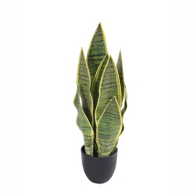 China Environmental Friendly Plastic Real Touch Snake Plant Artificial Yellow Bonsai Plant for sale