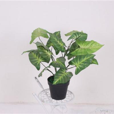 China Easily Assembled / Tree / Eco - Friendly Most Popular Evergreen Artificial Plant Series Of Different Styles for sale