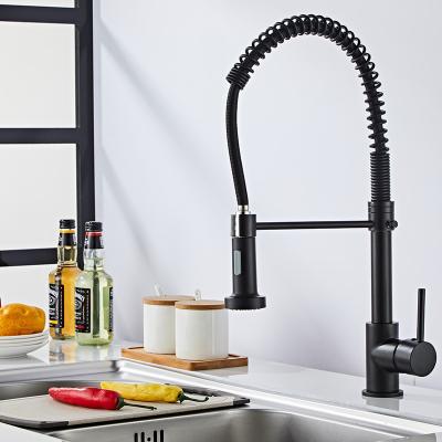 China 2021 Modern Luxury Pull Out Sink Faucets Pull Out Kitchen Faucet Matte Black With Pull Down Sprayer for sale