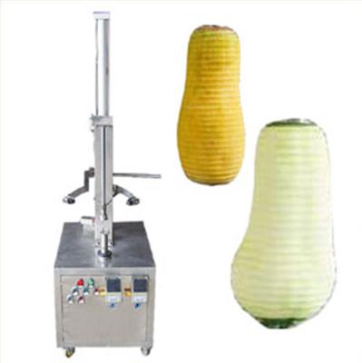 China Snack factory low cost 304 stainless steel fruit and vegetable peeling machine watermelon fruit peeling machine for sale