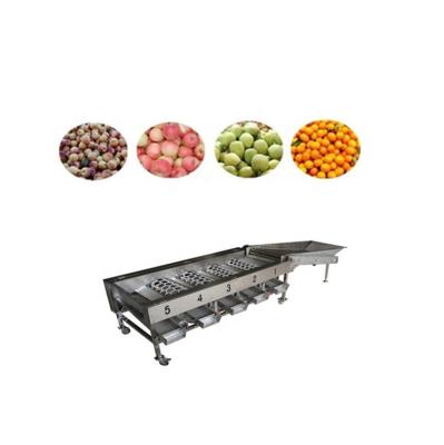 China JY fruit processing factory large capacity fruit sorter/potato grader/onion picker for sale for sale