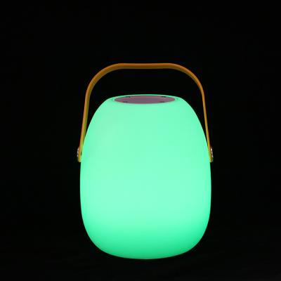 China Phone Function Radio Speaker Light Music Mini Speaker For Kids Learning Portable Led Education for sale