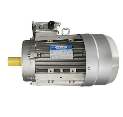 China machinery & Hardware Motor Electric Machine BSG for sale