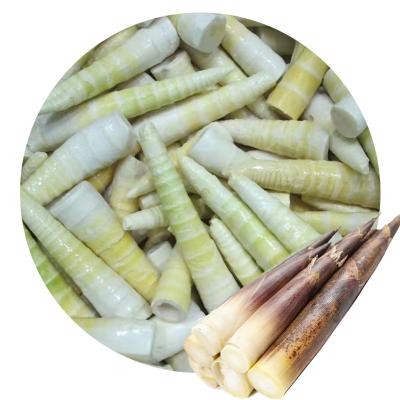 China Convenient fresh bamboo shoot shelled bamboo shoot leu wholesale fresh frozen bamboo shoot for sale