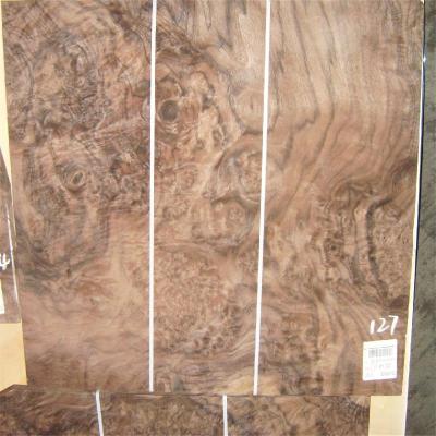 China American natrual decoration walnut knot wood veneer for modern hotel bedroom furniture for sale