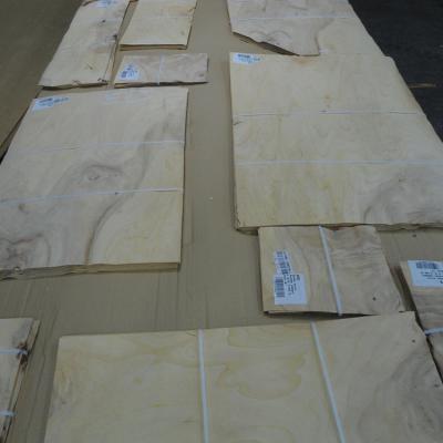 China Slice Cut Elm Knot Wood Veneer For High Grade Fancy Panel 20cm-120cm x 20cm-120cm x 0.52mm for sale