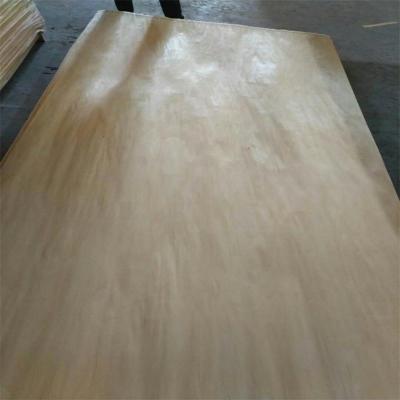 China Rotary Cut 1.50mm White Birch Core Veneer For Plywood 1270mm x 640mm/840mm for sale