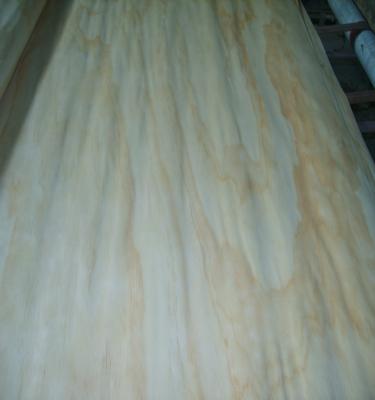 China Rotary Cut Natural Pine Veneer For Furniture Rectangle for sale