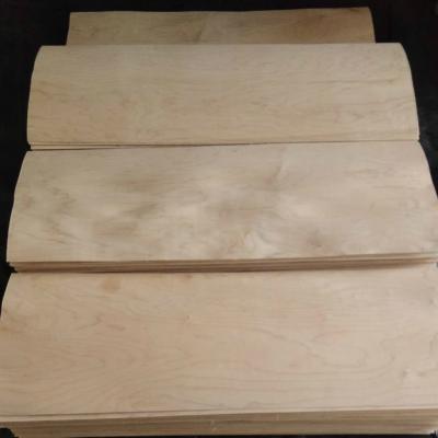 China Maple Veneer For Cheap Skateboards 1.6mm Thickness Maple Skateboard Longboard Wood Canadian Hard Veneer for sale