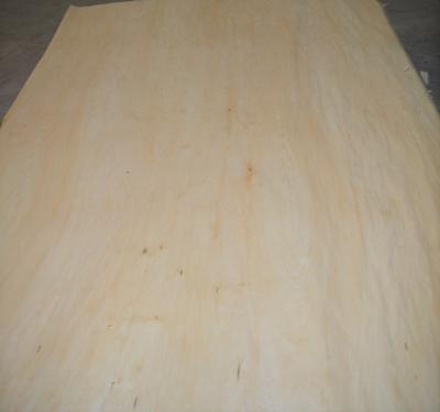 China hot sale mlh veneer with png basswood for plywood 1270mm*2500mm basswood veneer for sale