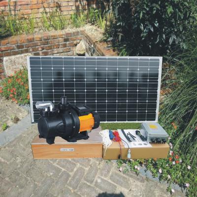 China bomba solar de la piscina de 250W 24V/bomba accionada solar de la piscina en venta