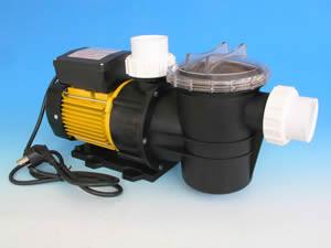 China 110V Aluminum Electric Swimming Pool Pumps FTP-2 High / Low Speed for sale