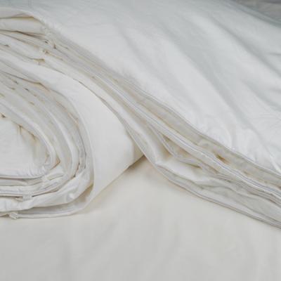 China Wholesale Hot Sustainable Super White Natural Mulberry Natural Silk Comforter 100% Soft Comforters for sale