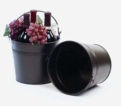 China Small Eco - Friendly Metal Pot Bucket For Plant Flower for sale