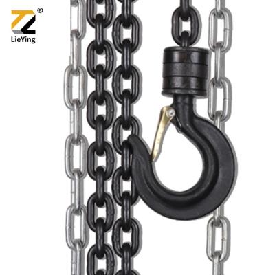 China Factory Price High Quality Hand Plants HS-C Type Chain Block for sale