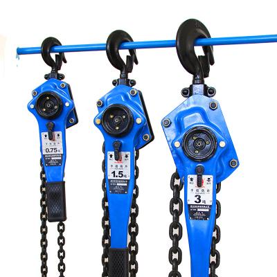 China Construction Material Shops Lifting Chain Hoist 1t 1.5t 3t Lever Chain Hoist 500kg 750kg Block With G80 Elevator Chain for sale