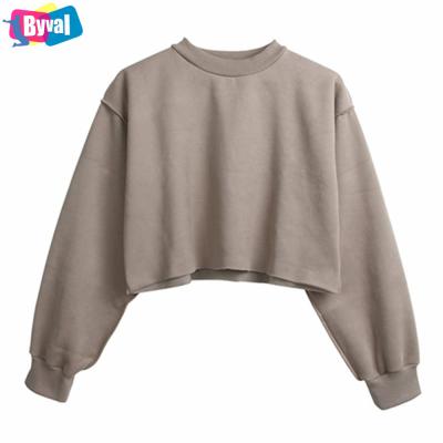 China Fashion Anti-Shrink Female Autumn Comfortable Byval Cropped Hoodies for sale