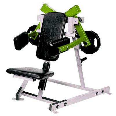 China Commercial Use Muscle Exercise Strength Machine Plate Loaded Machine Raise Lateral Gym Equipment for sale