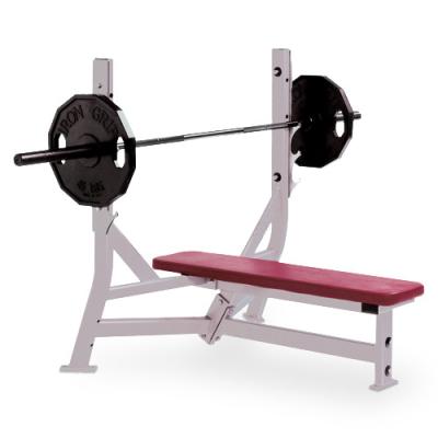 China Commercial Use Hammer Strength Machine Chest Press Fitness Equipment Flat Bench Gym Equipment for sale