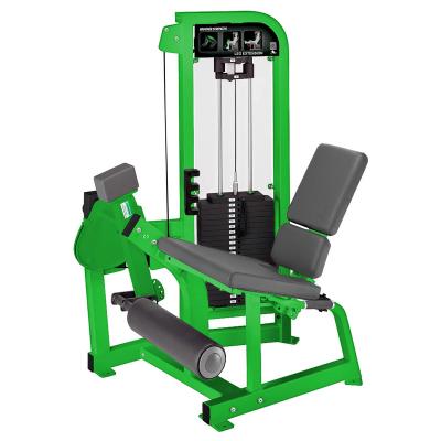 China Commercial Use Pin Loaded Fitness Equipment Leg Exercise Machine Leg Extension Gym Equipment for sale