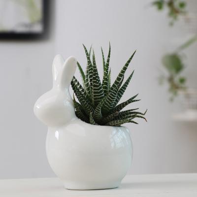 China European white ceramic succulent flower pot home gardening porcelain flower pot creative cartoon animal rabbit wholesale CLASSIC for sale