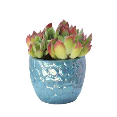 China CLASSIC Painted Hindu Ceramic Flower Pot Stack Flowerpot Tripod Planter Juicy Ceramic Plant Pot for sale