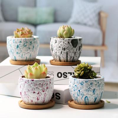 China CLASSIC Succulent Water Transfer Amazon Flowerpot Ceramic Flowerpot Household Home Decor Export For Potted Plants for sale