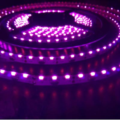 China Indoor And Outdoor UV Led Strip UVA Purple Germicidal UV-C Purple Led Strip SMD335 Light UV Led Strips 254nm 360nm 365nm 455nm for sale