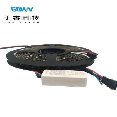 China WS2812B DC5V SMD5050 RGB Smart LED Strip Lighting Indoor and Outdoor Color Changing IP20/IP65 LED TV Backlight for sale