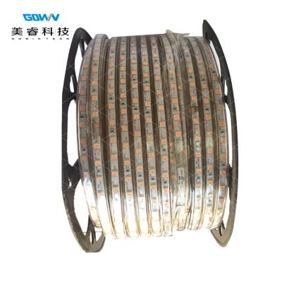 China Warm white warm white led strip light SMD5050 IP67 IP68 waterproof strip lights for outdoor and indoor for sale