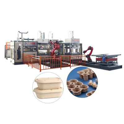 China food & Beverage Plant Pulp Molding Bowl Fiber Tray Thermoforming Machine for sale