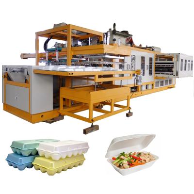 China Disposable EPS Foam Food Fruit Packing Box Making Machine Take Away Container Production Line for sale