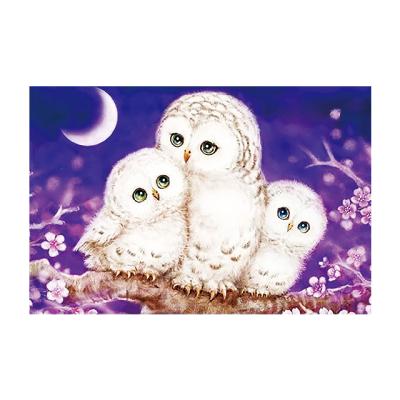 China CLASSIC Drill Diamond Painting White Owl Diy Diamond Embroidery For Beginners from YiwuXiurun best-selling full for sale