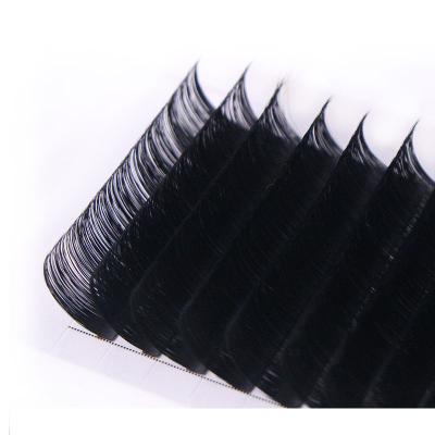 China PBT made in china top quality natural black synthetic individual eyelash extension for sale