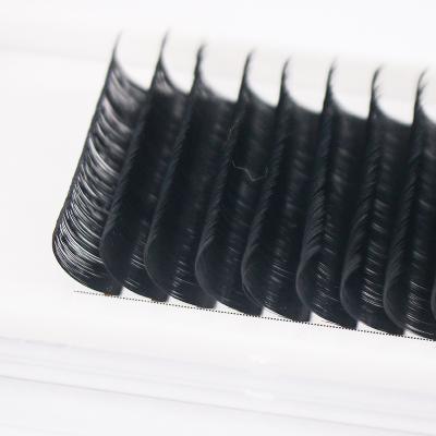 China Crisscross Quality Assurance Professional Pre Made Eyelash Extension Deliveries for sale