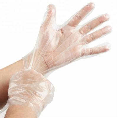 China 100 pcs gloves x 100 bags x 1 carton disposable plastic PE gloves for food processing for sale