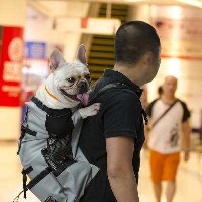 China Durable Breathable Dog Carrier Bag For Golden Retriever Dogs Large Bulldog Backpack Adjustable Large Dog Travel Bags Pets Products for sale