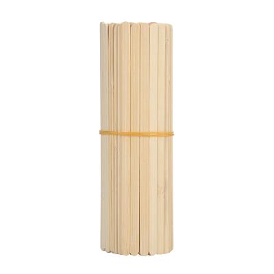 China 100% Sustainable Compost Disposable Bamboo Flavored Coffee Shaker en venta