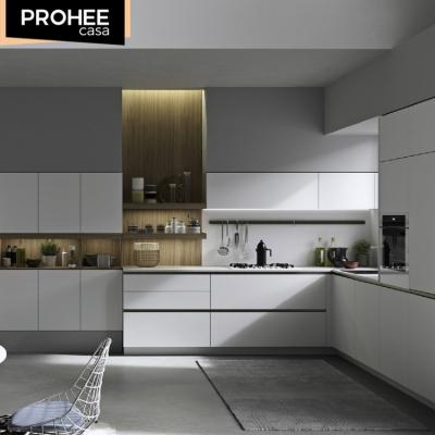 China PROHEE Durable Simple Modern Style Household Kitchen Painting Can Be Customized Kitchen Cabinets Wholesale for sale