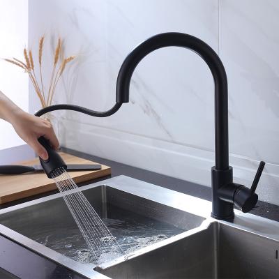 China Pull Out 304 Spray Kitchen Faucet Stainless Steel Water Faucet Kitchen Faucet Black Kitchen Faucets 2022 for sale