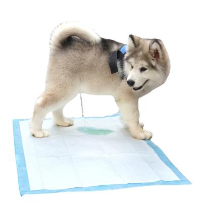 China China Supplier Low Price Disposable Small Dog Pee Pad Pets and Dogs Accessories Puppy Training Pad for sale