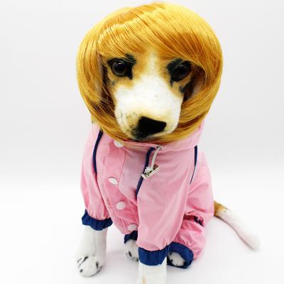 China Viable Wholesale Dog Wig Factory Customizable Wig Cap Dog Model Dog And Wig Amazon Blast for sale