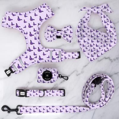 China Custom Eco-Friendly Pet Accessories Products Pattern Printing Dog Collar And Leash Nylon JEWELED Set for sale