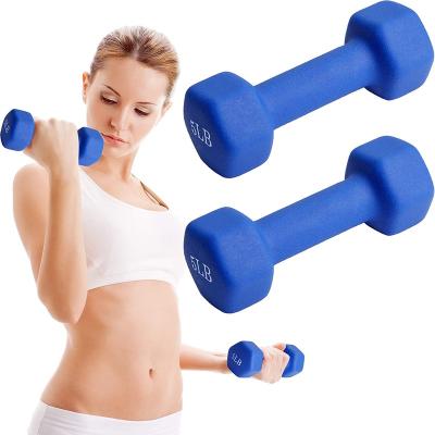 China Quality Women Fitness Equipment Hex Dumbbell Vinyl Colorful Neoprene Case Iron Home Gym Solid Dumbbells for sale